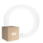 Flerpack 4x Ledvance LED Rör T9 Value Cirkulär (EM/Mains) 11W 1320lm - 840 Kallvit | Ersättare 22W